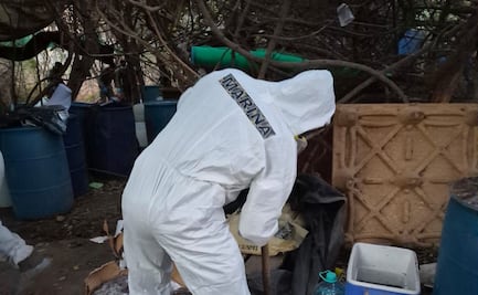 Marina localiza narcolaboratorio de metanfetaminas en Sinaloa; aseguran más de media tonelada de producto terminado