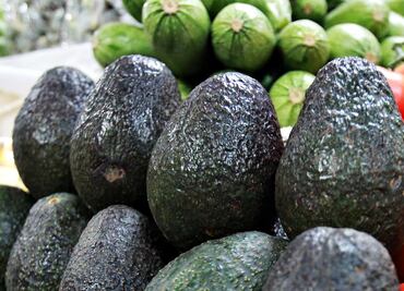 Aguacate sigue en $85, reporta Profeco