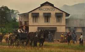FOTOS: Así es Macondo, el escenario de "Cien años de soledad", detrás de cámaras