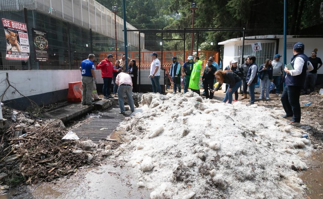 Cuajimalpa inicia censo por daños tras tormenta histórica; al menos 50 familias resultaron afectadas. Foto: Especial