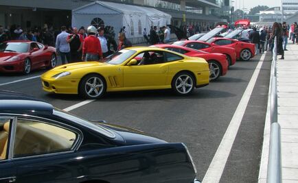 Festival de cavallinos rampantes