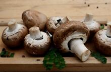 Hongos comestibles: guía para comprar, limpiar y cocinar en casa