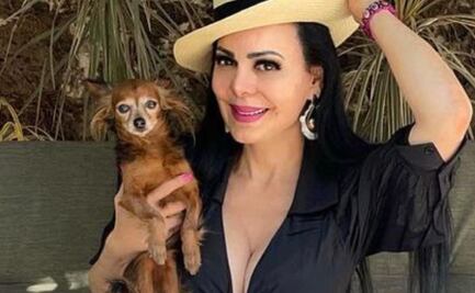 Maribel Guardia: luego de la partida de “Sadie” estas son las mascotas que viven con la actriz 