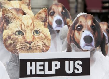 "No digas 'matar dos pájaros de un tiro'"; recomendaciones de PETA generan debate