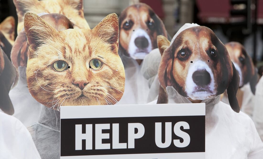 Foto: Xinhua/Bettina Strenske/London News Pictures/ZUMAPRESS, archivo