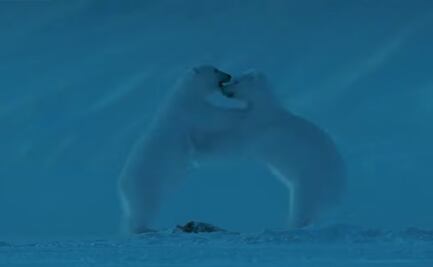 Para esta cuarentena, series que te mantienen "activo" y no en el sillón