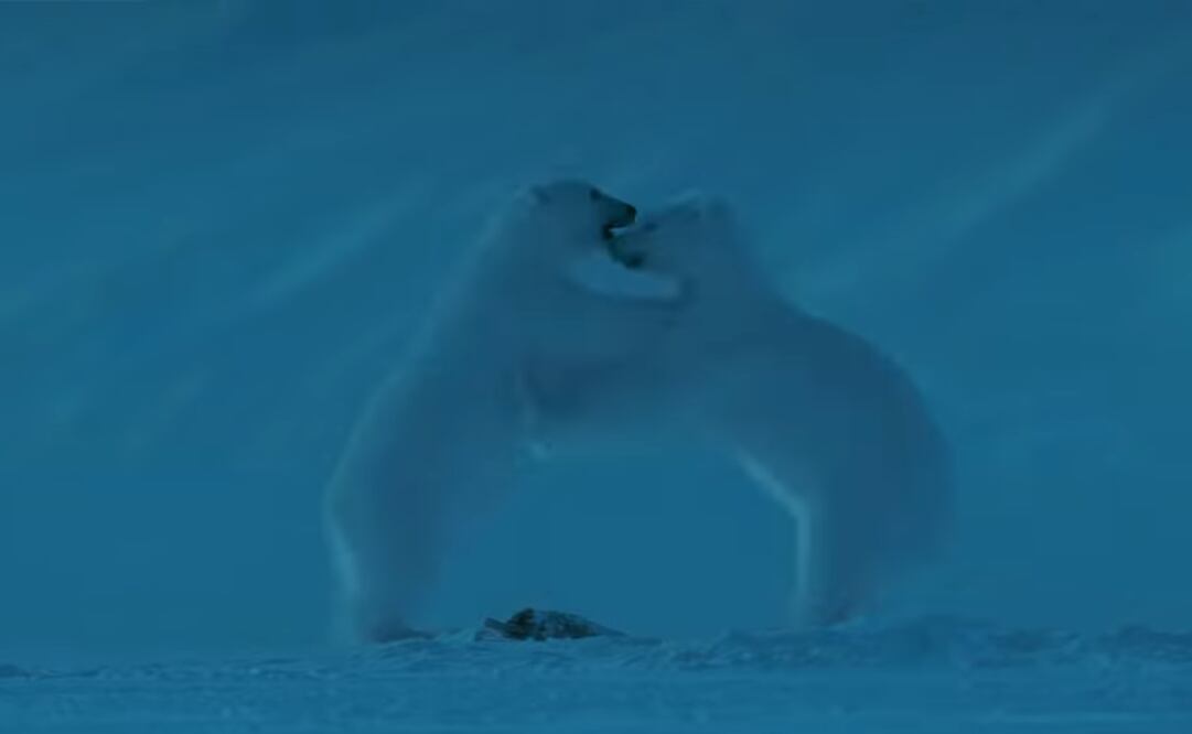 El Plantena de noche. Foto: Captura Youtube