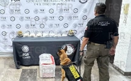 Aseguran más de cinco kilos de metanfetamina en Jalisco; fueron hallados en una empresa de paquetería