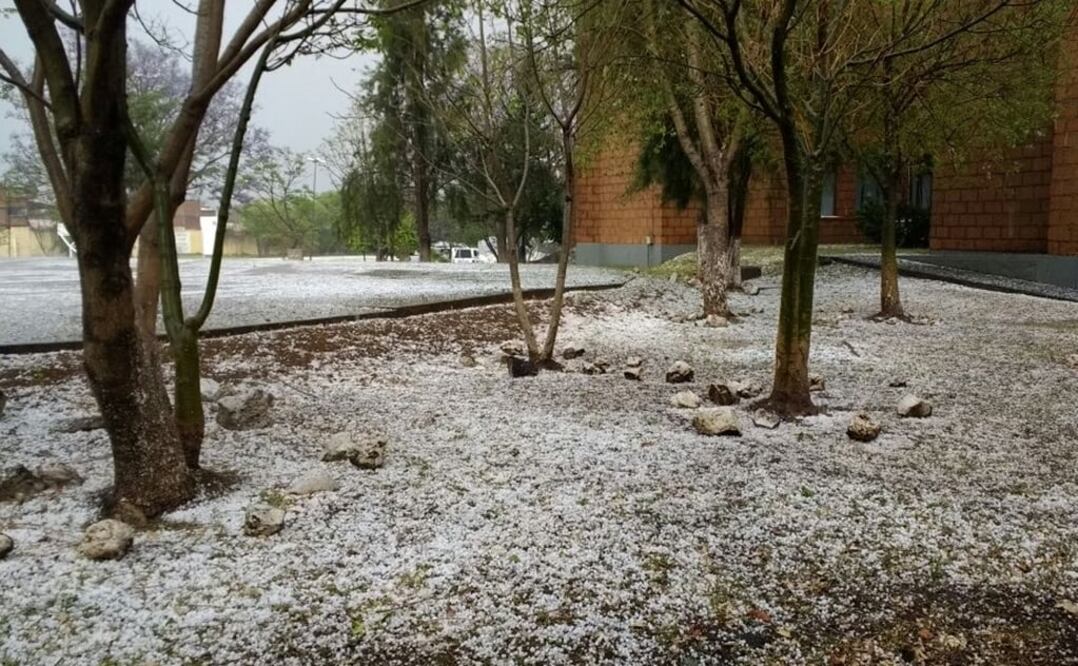 Foto: Carlos Arrieta