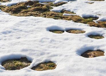 ¿Por qué debe importarnos el cambio climático?