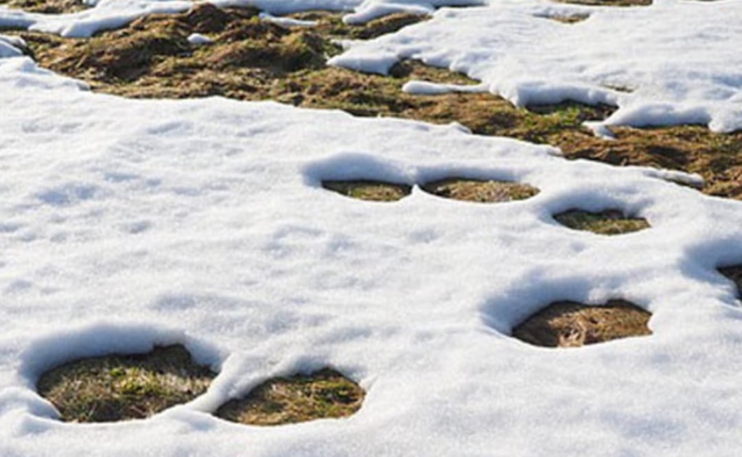 El cambio climático es una consecuencia multifactorial. (FOTO: Conacyt)