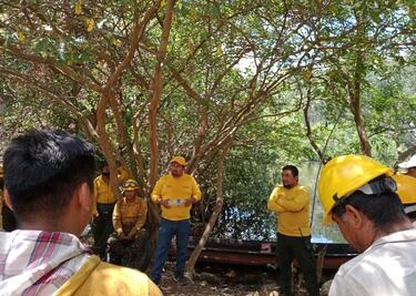 Sofocan incendio en La Encrucijada, Chiapas