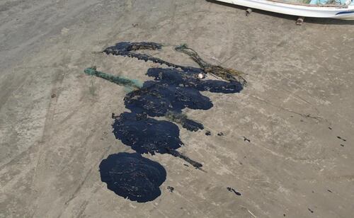 Limpian 34 playas afectadas por manchas de hidrocarburo en Veracruz; participan 235 elementos.
Foto: Especial.