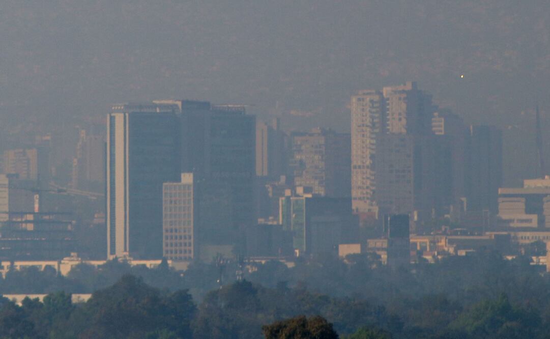 (Foto: Joel Merino/El Universal)