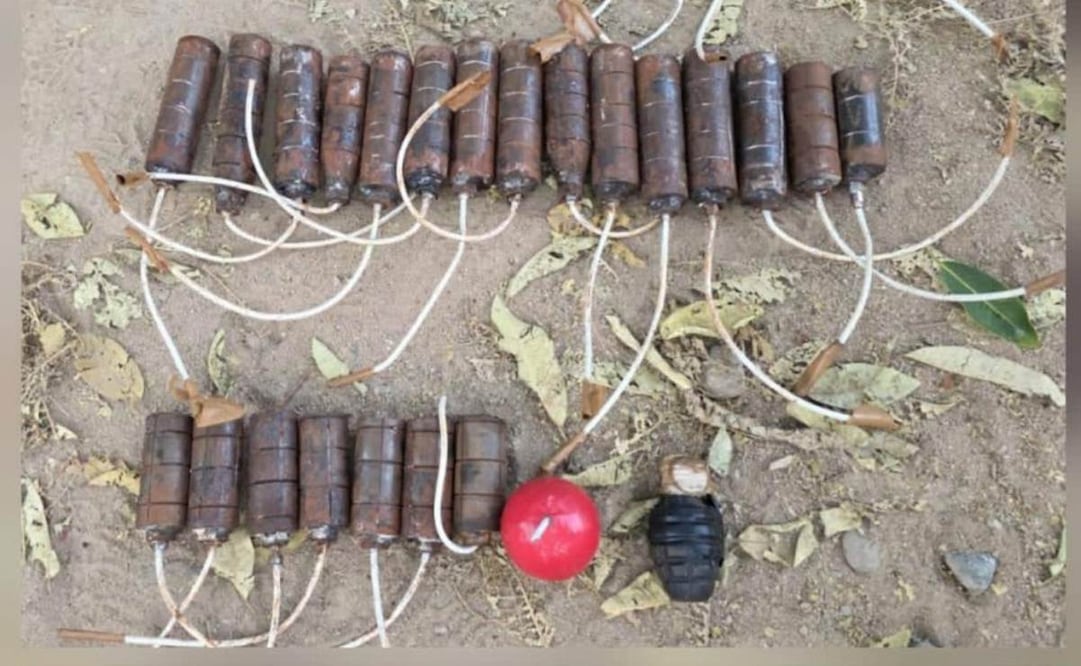 Aseguran 146 explosivos en Sinaloa (20/11/2025). Foto: Especial