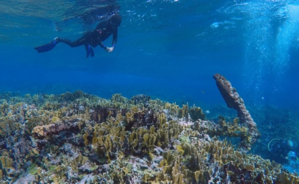 La historia del velero de hace 200 años encontrado en Banco Chinchorro