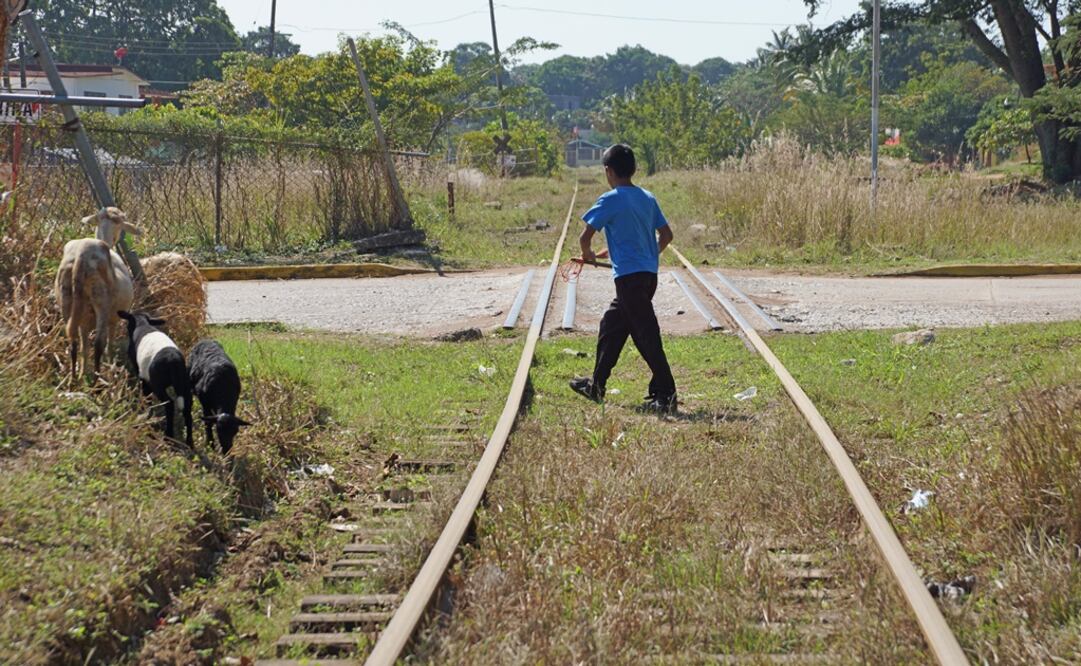 Foto: Edwin Hernández