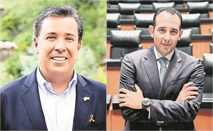 Nuevo presidente del PAN divide opiniones