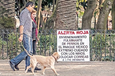 Exigen castigo contra la “Mataperros”