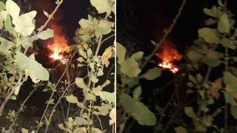 Reportan incendio en el Parque Nacional Fuentes Brotantes en Tlalpan