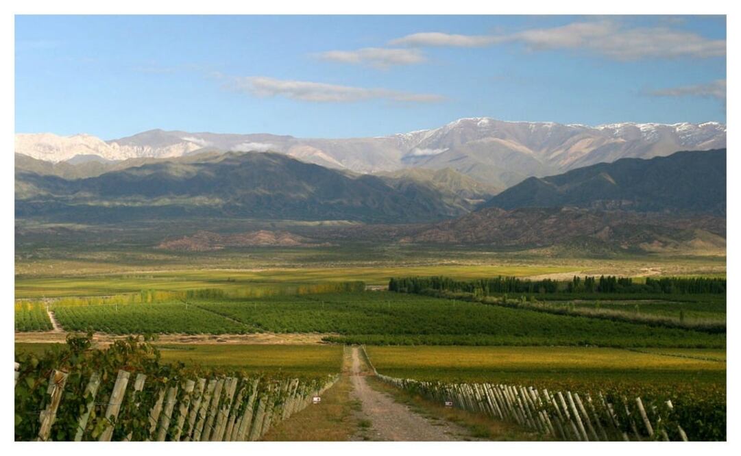 Foto: Finca Las Moras/cortesía