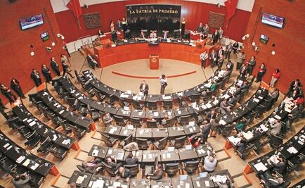 Senadora urge a retomar discusión sobre ley contra tortura