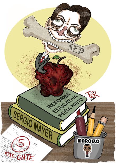 Cartón de FER