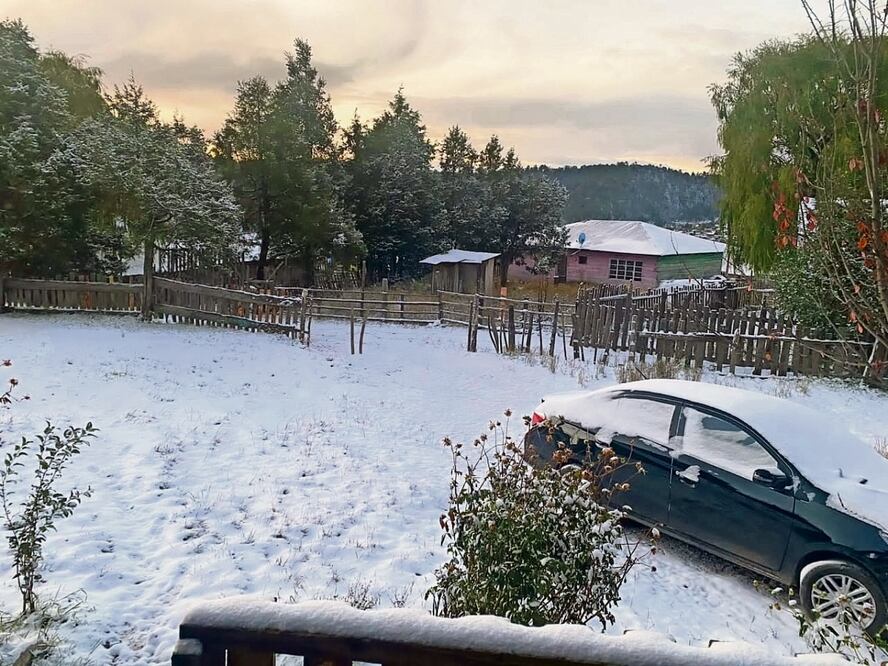 En Chihuahua la nevada afectó a los municipios Balleza y Guadalupe y Calvo. Foto: Especial