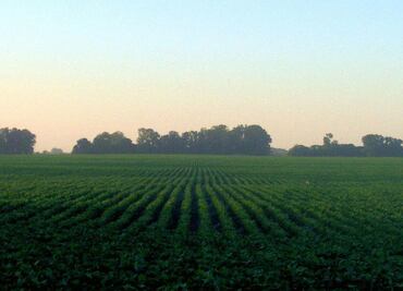 En 2024 habrá más subsidios asistenciales al campo sin productividad, acusan consultores agrícolas