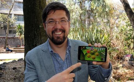 Crean videojuegos para promover el gusto por las matemáticas y el cuidado de las abejas