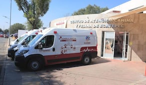 Ecatepec pone en marcha ambulancias veterinarias y vehículo canino; reforzarán rescate y esterilización de mascotas