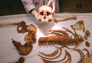 Analizan restos de migrantes