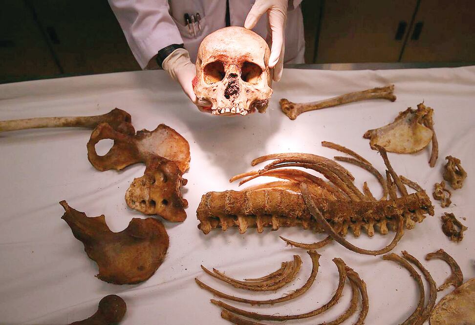 Un médico forense muestra los restos de migrantes encontrados en el desierto que une a Sonora y Arizona