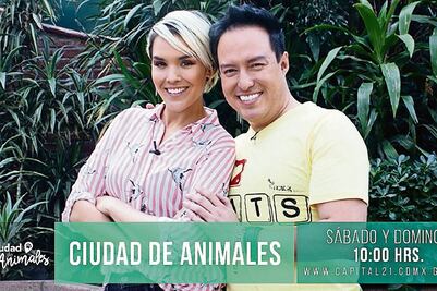 Dosis de conciencia animal vuelve a la tv