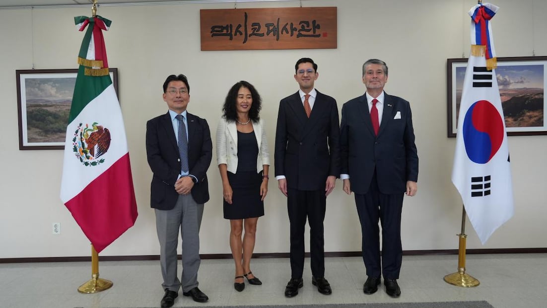 El canciller Roberto Velasco Álvarez en gira de trabajo en Seúl. Foto: SRE