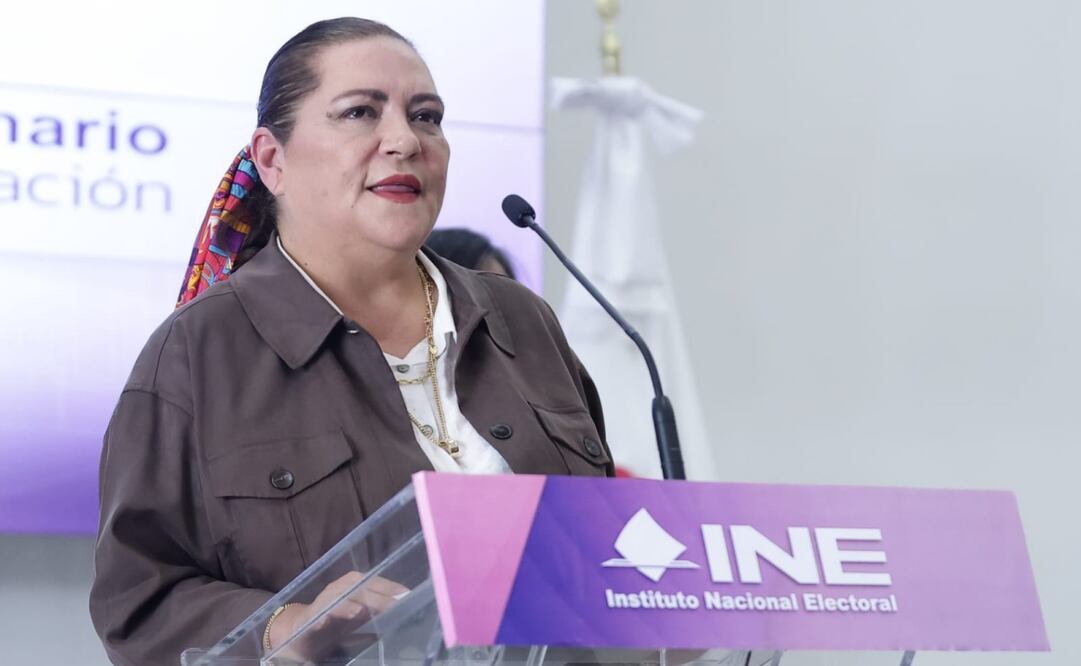 Elecciones son una inversión, no un costo, señala Taddei; INE no se niega a cambios, afirmaFoto: Fernanda Rojas/ EL UNIVERSAL