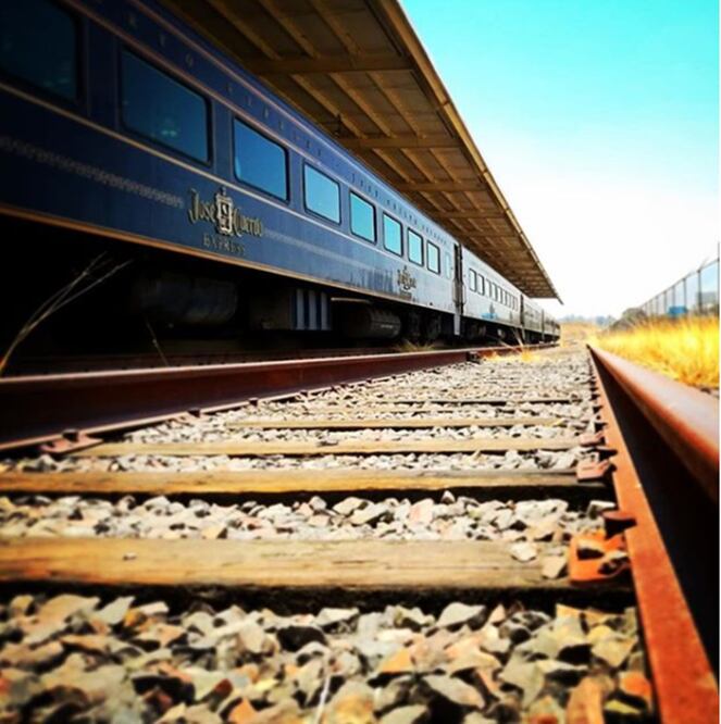 Photo: Taken from Mundo Cuervo instagram