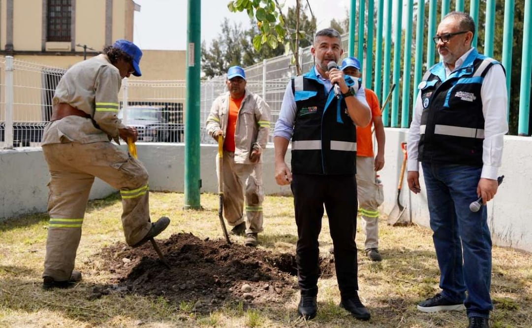 La Miguel Hidalgo anuncia plantación de 600 árboles tras afectaciones por lluvias; busca fortalecer el patrimonio ambiental.
Foto: Especial.