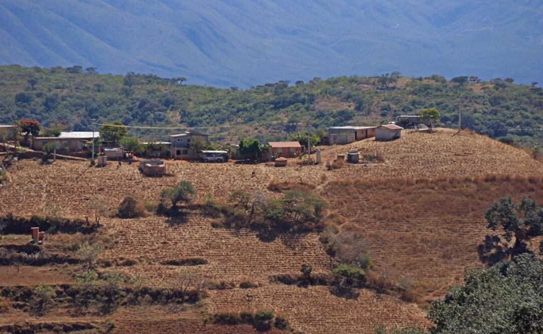 Foto: Archivo EL UNIVERSAL