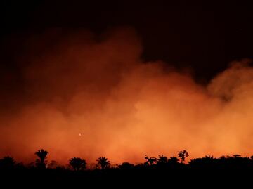 What is fuelling climate change and the Amazon destruction?