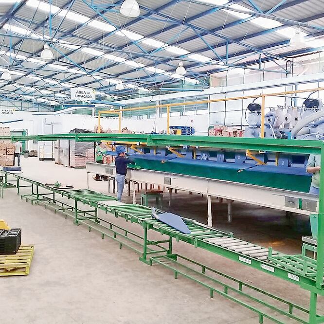 Autoridades reportan una producción de aguacate mayor a un millón 117 mil toneladas este año. En la imagen, empacadoras paralizadas en Uruapan. Foto: FOTOS: CARLOS ARRIETA. EL UNIVERSAL