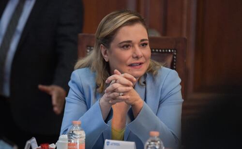 “Ejecutivo decidirá qué es falso o no”