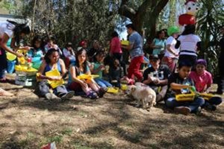 Abrazos que sanan: Jóvenes y mascotas que se rehabilitan juntos