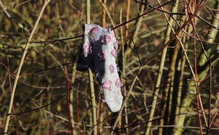 Desaparecen 22 niñas, niños y adolescentes en un mes en Guanajuato