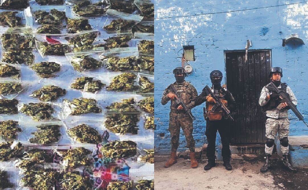 Del 1 de enero al 3 de agosto de este año, además de las personas detenidas con marihuana, se han registrado 637 casos por cocaína y 725 por “otras drogas”, según datos de la Secretaría de Seguridad Ciudadana obtenidos por El UNIVERSAL vía transparencia. Fotos Especiales