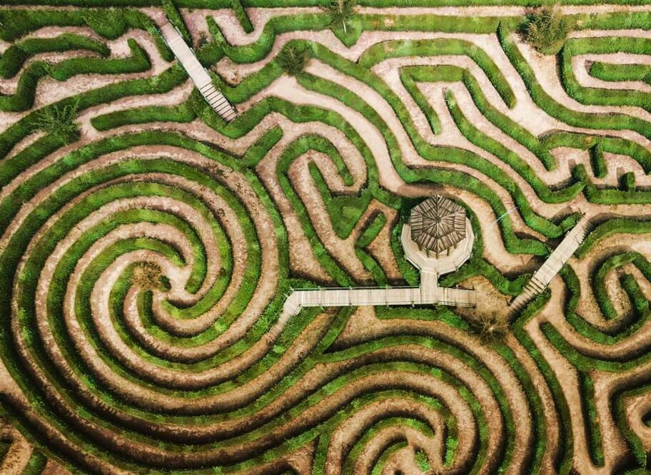 Alpinia, a los pies del volcán Iztaccíhuatl. Foto: Alpinia