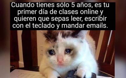A una semana del regreso a clases, estos son los mejores memes