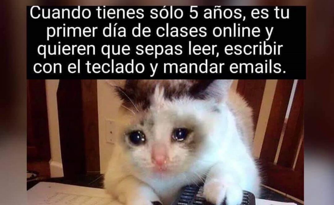 Imagen tomada de Facebook