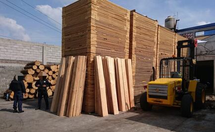 Aseguran más de 500 toneladas de madera en Tlalmanalco, Edomex