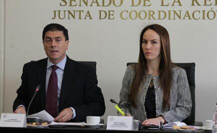 Gerónimo Gutiérrez presenta al Senado plan de trabajo como embajador en EU